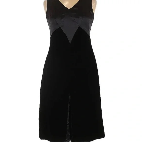 isabella bird silk dress Isabella Bird dress size 4P